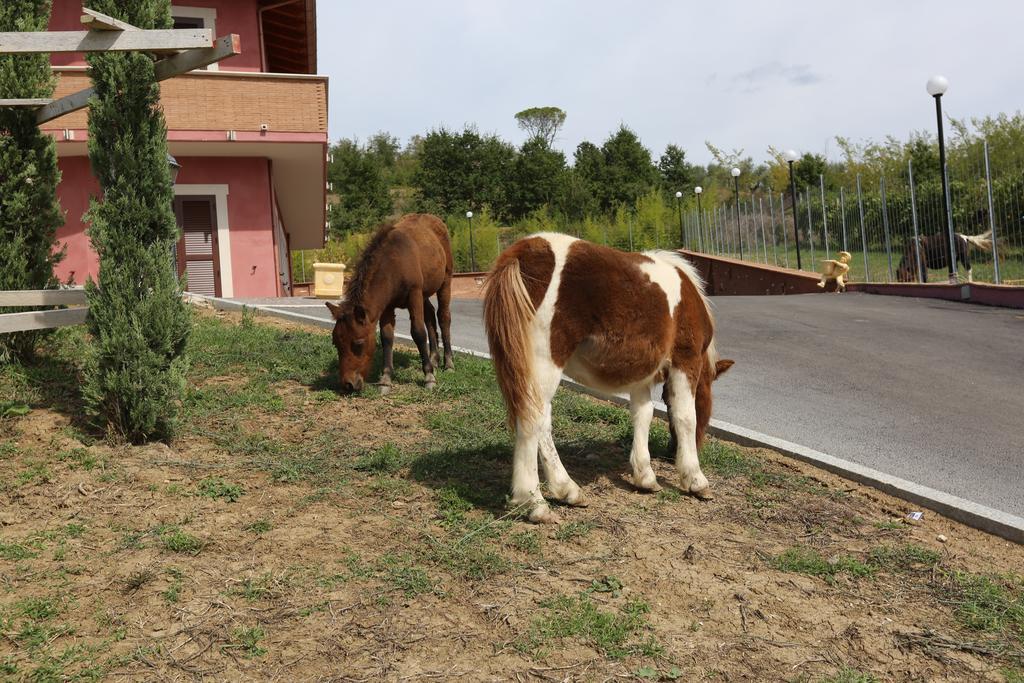 Agriturismo Ciociaro " Il Colle " Hotel Ristorante เชปราโน ภายนอก รูปภาพ